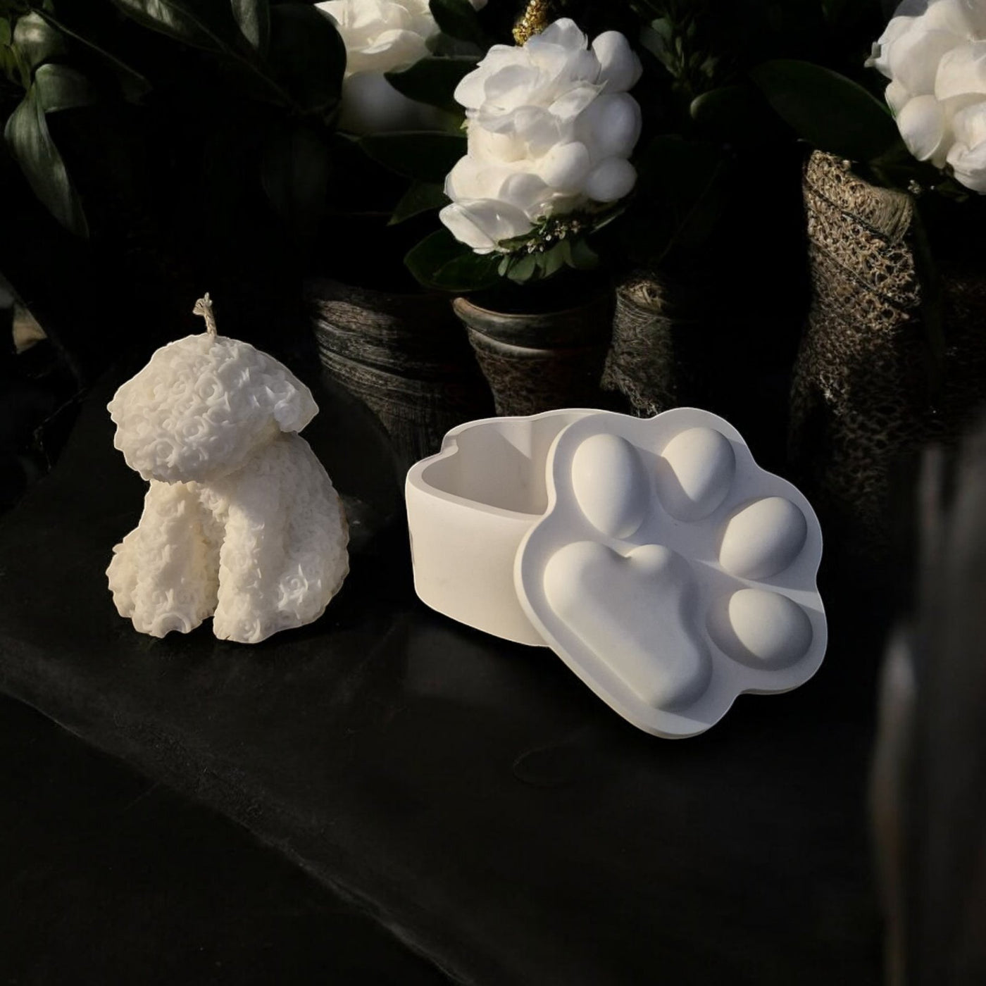 Geschenkset „Pfotenliebe“ – Perfekt für Hundeliebhaber! 🐾❤️