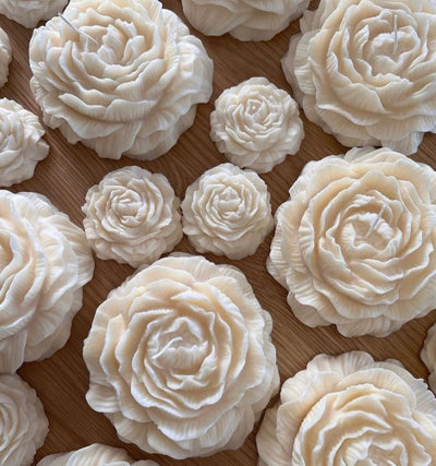 Blume als Gastgeschenk