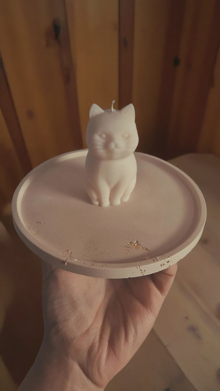 Katze