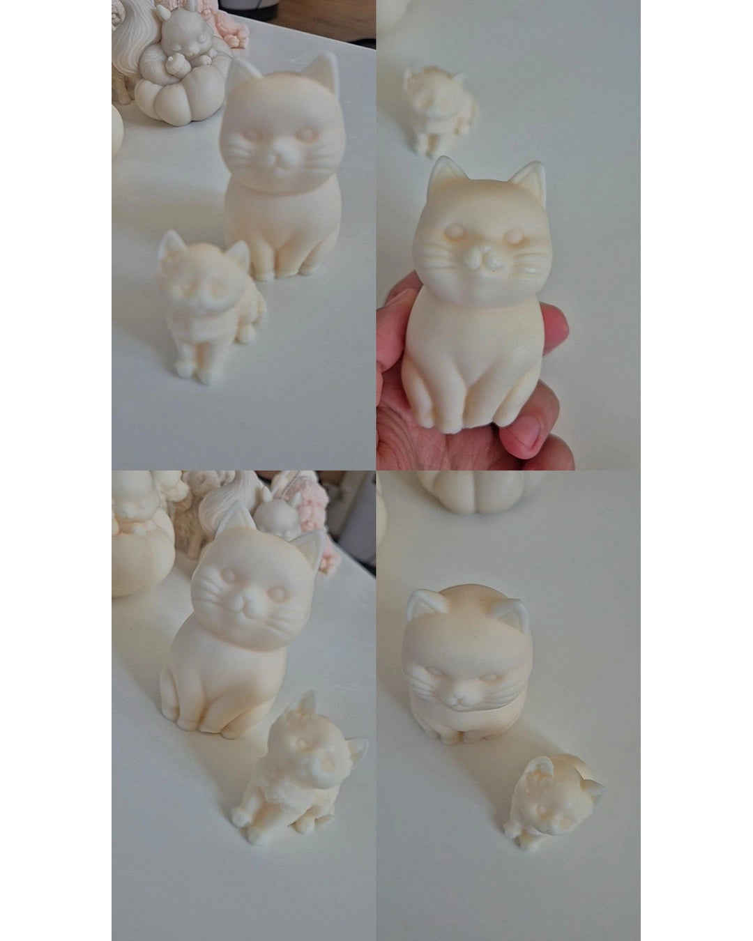 Katze