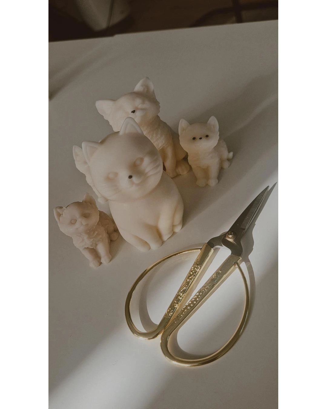 Katze