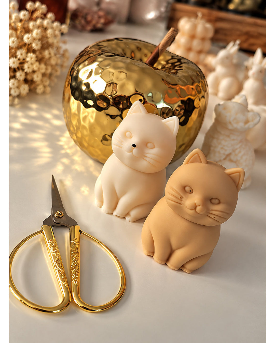 Katze